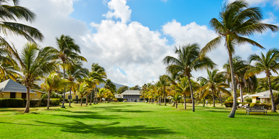 Nisbet Plantation grounds